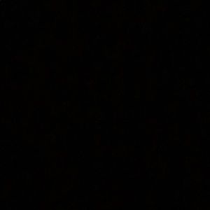 Meet your Posher, Zack